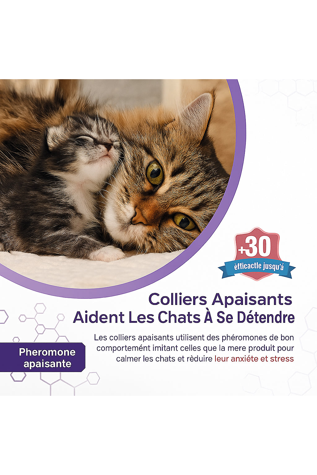 Collier Apaisant pour Chiens et Chats – Anti-Stress Naturel