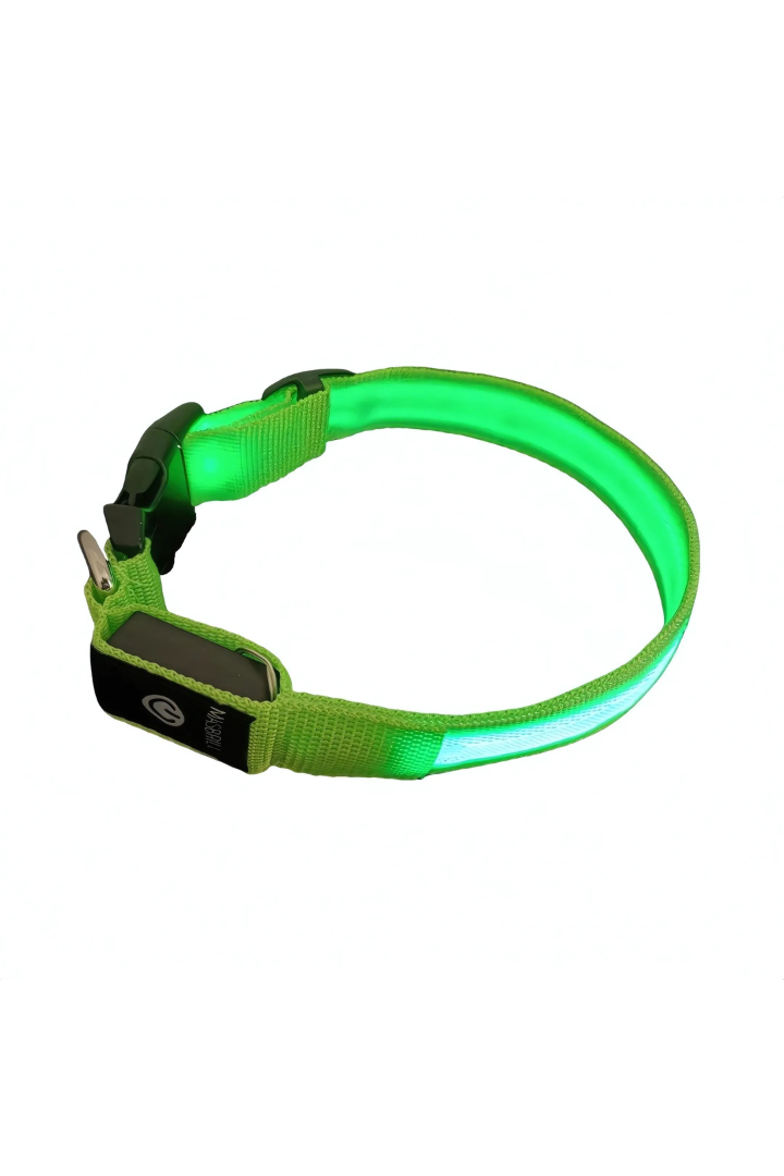 Collier LED Réfléchissant pour Chiens – Ajustable