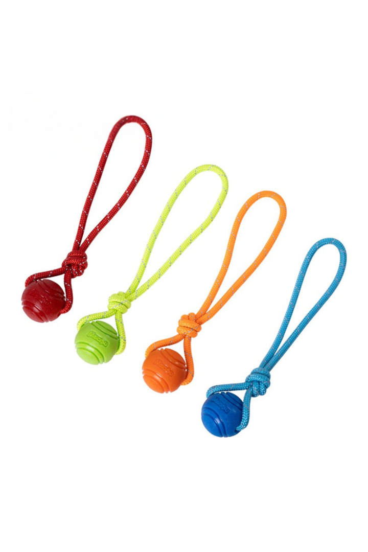 Corde à Couinement pour Chiens – Jeu Interactif et Résistant