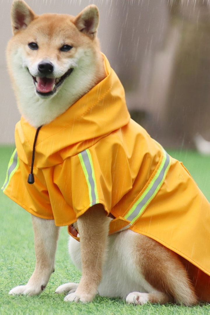 Imperméable pour Chiens avec Bandes Réfléchissantes